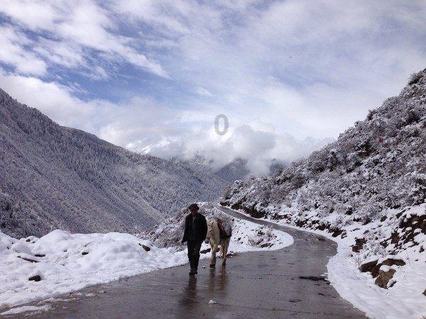 因下雪我市部分高速进口关闭 部分高铁停运