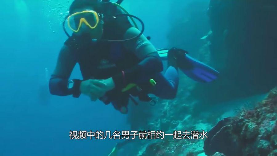 【冬春行动】商州公安分局抓获一名网上在逃人员