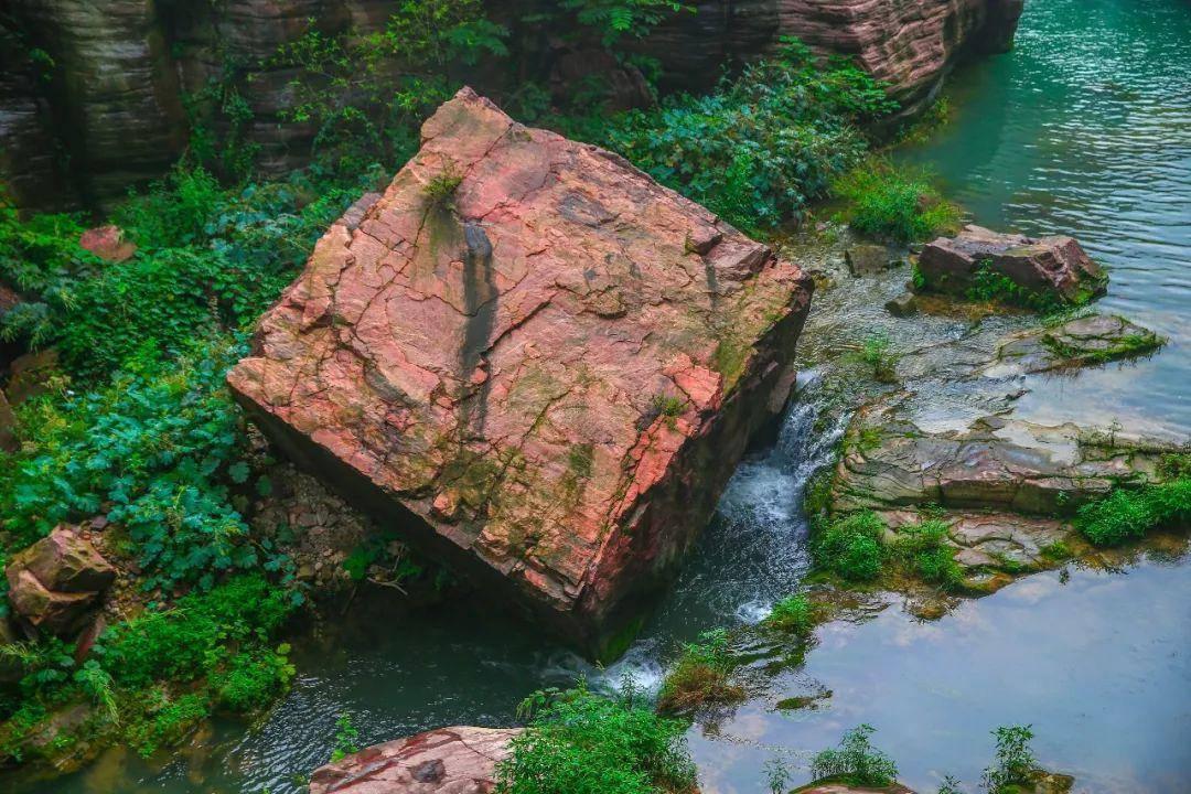 植物大战僵尸12